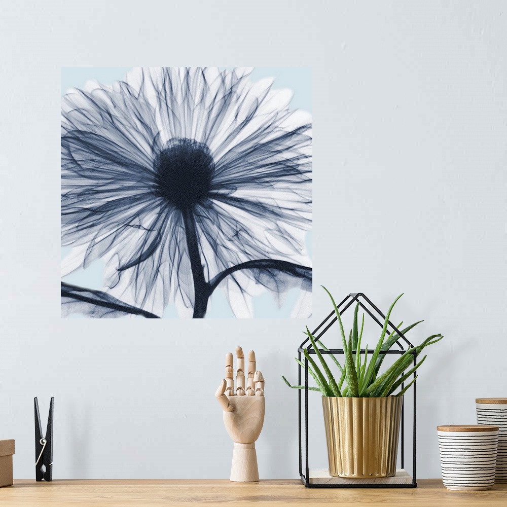 A bohemian room featuring Chrysanthemum Blues