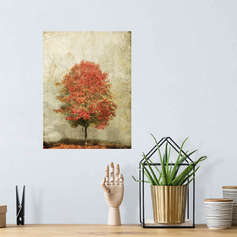 A bohemian room featuring Fire Tree