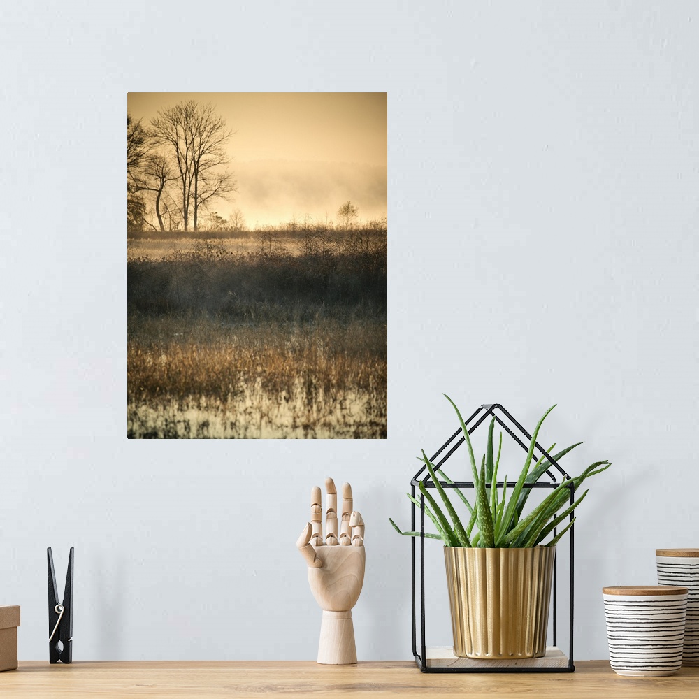 A bohemian room featuring A photograph of an idyllic weathered landscape in autumn, with bare trees in the background