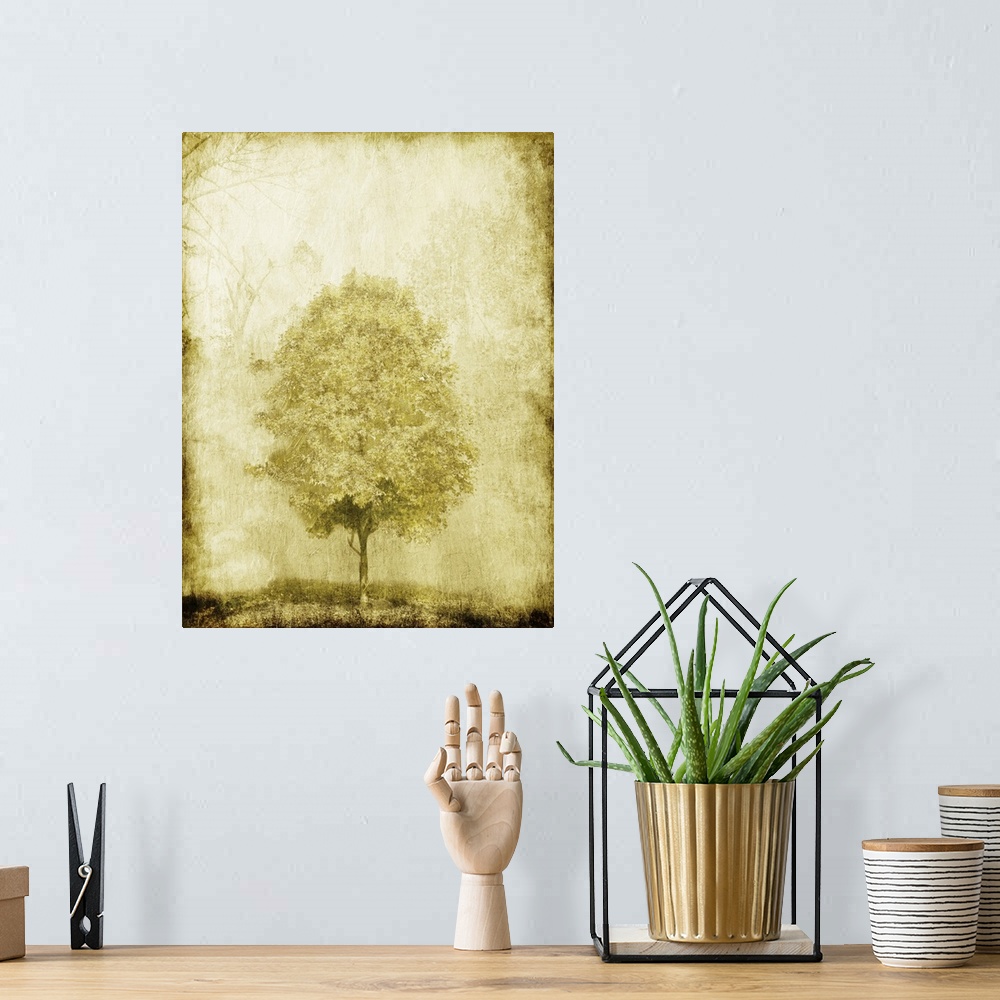 A bohemian room featuring Golden Tree