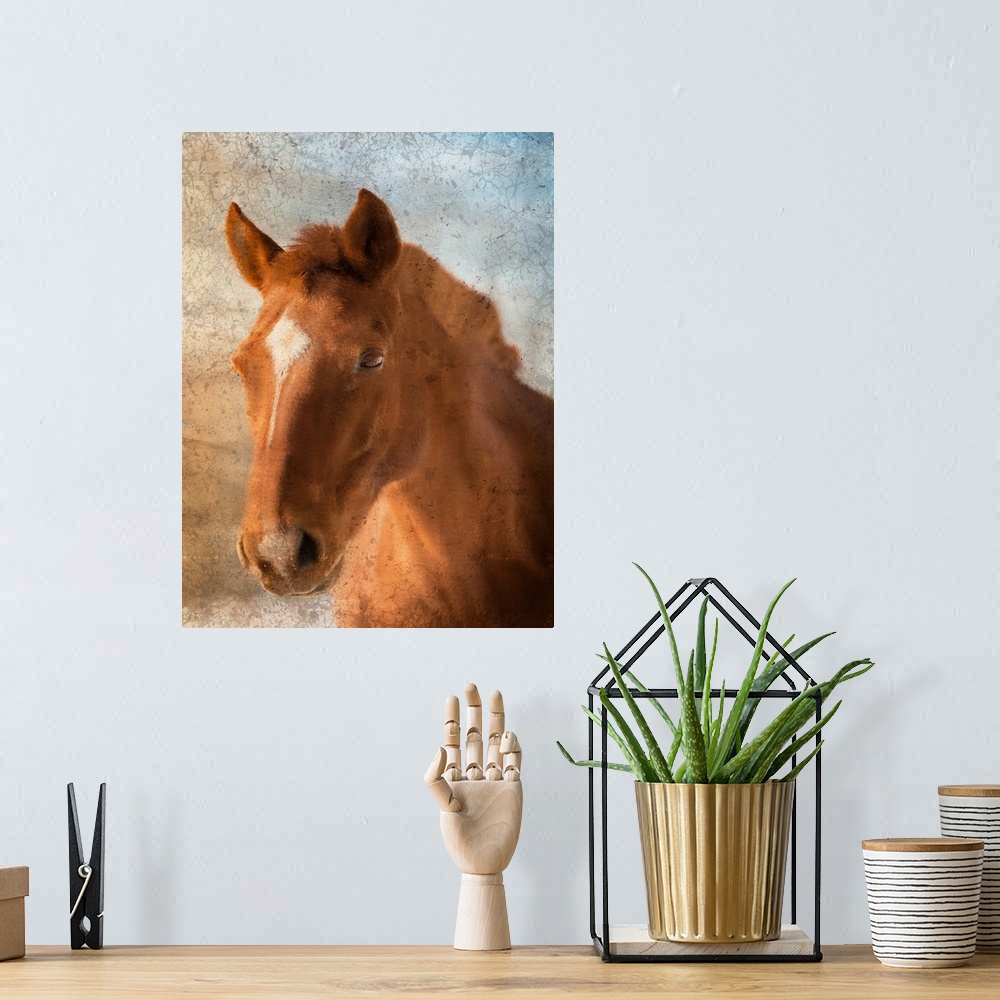 A bohemian room featuring Portrait of a brown horse with a star on its forehead.