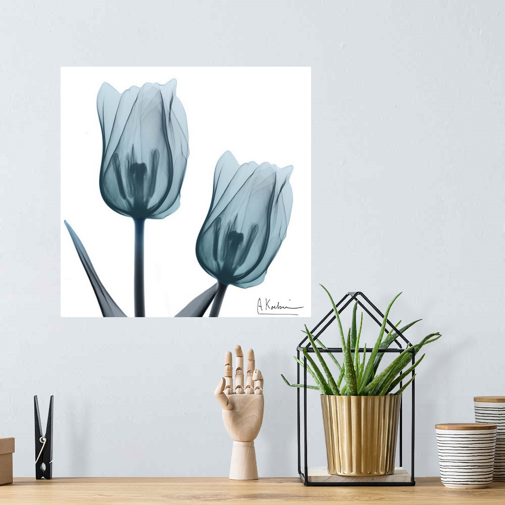 A bohemian room featuring Contemporary x-ray photography of tulips in blue tones.