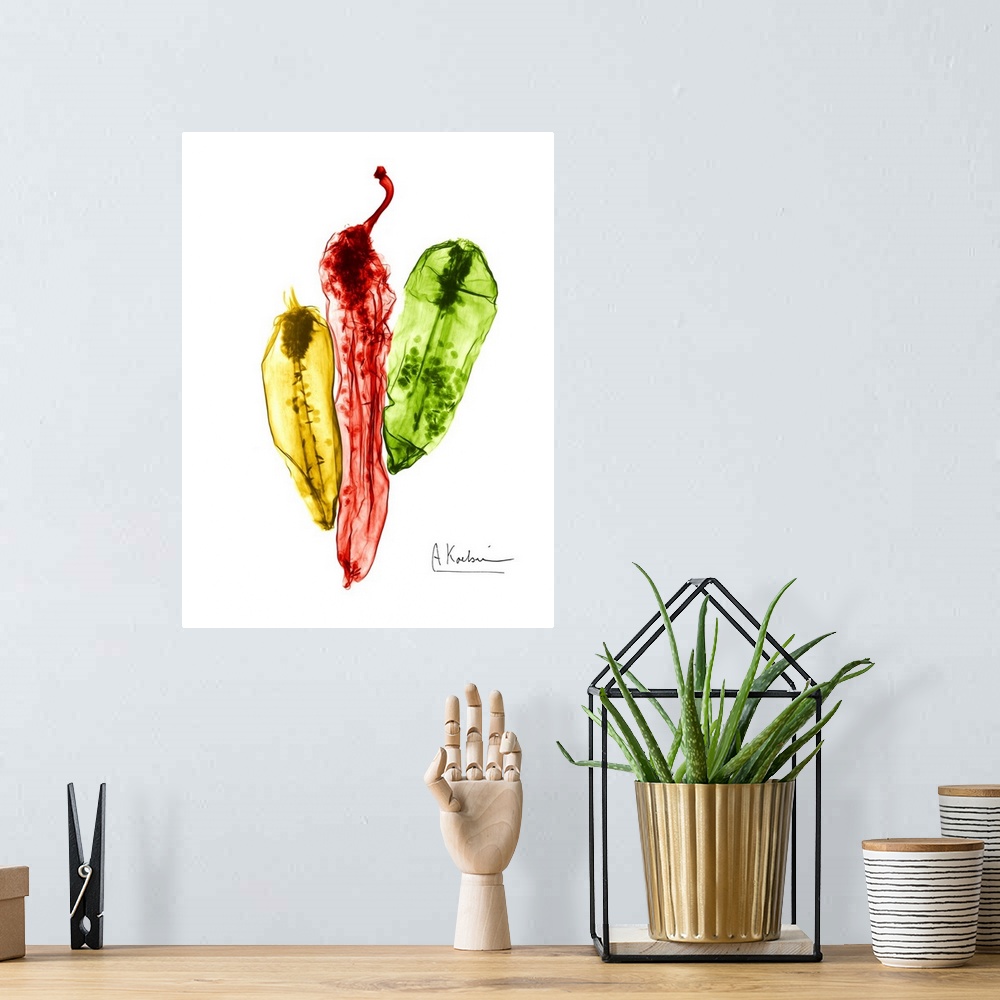 A bohemian room featuring An x-ray photograph of three colorful chili peppers against a white background.
