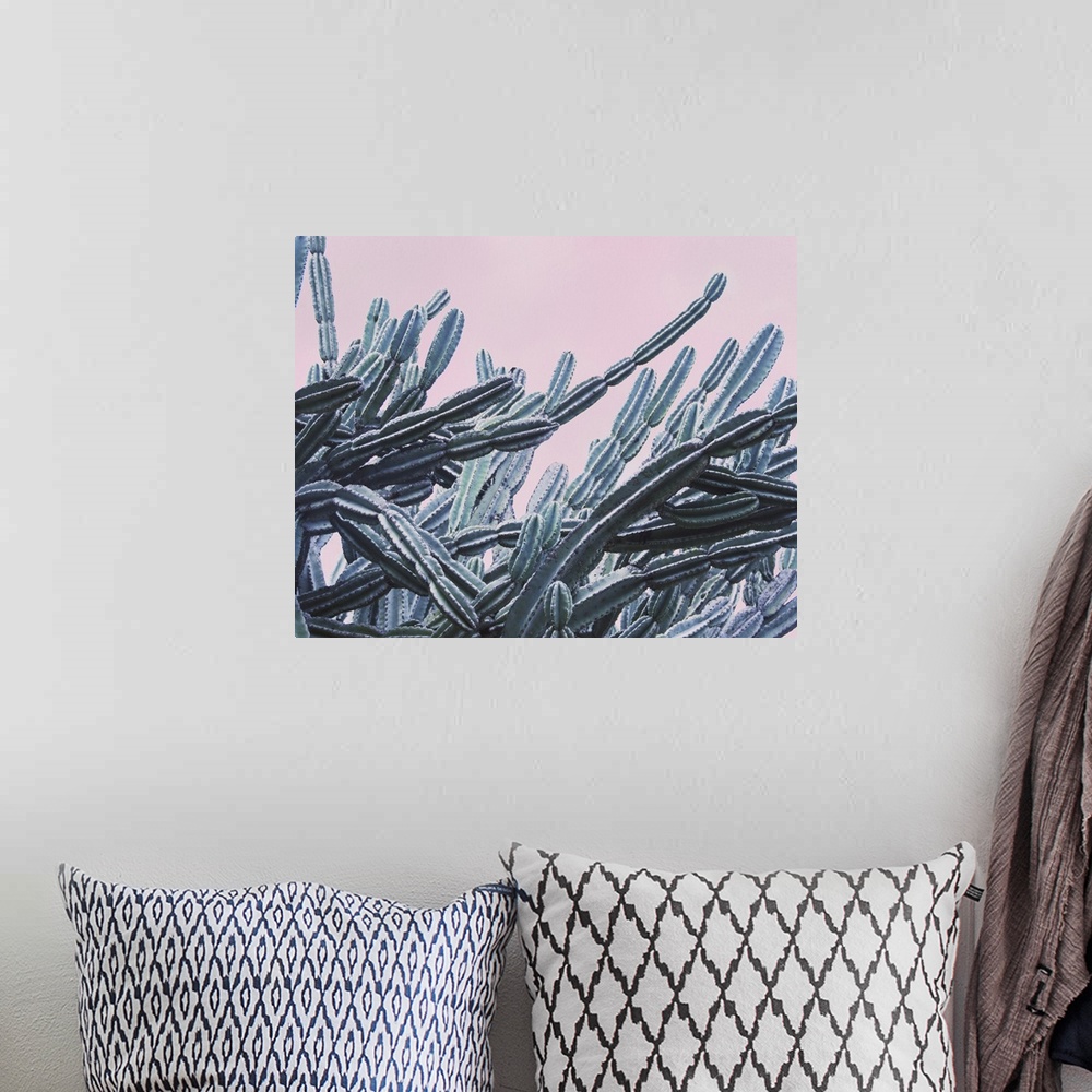 A bohemian room featuring Long, intertwining branches of cacti against a pale sky.