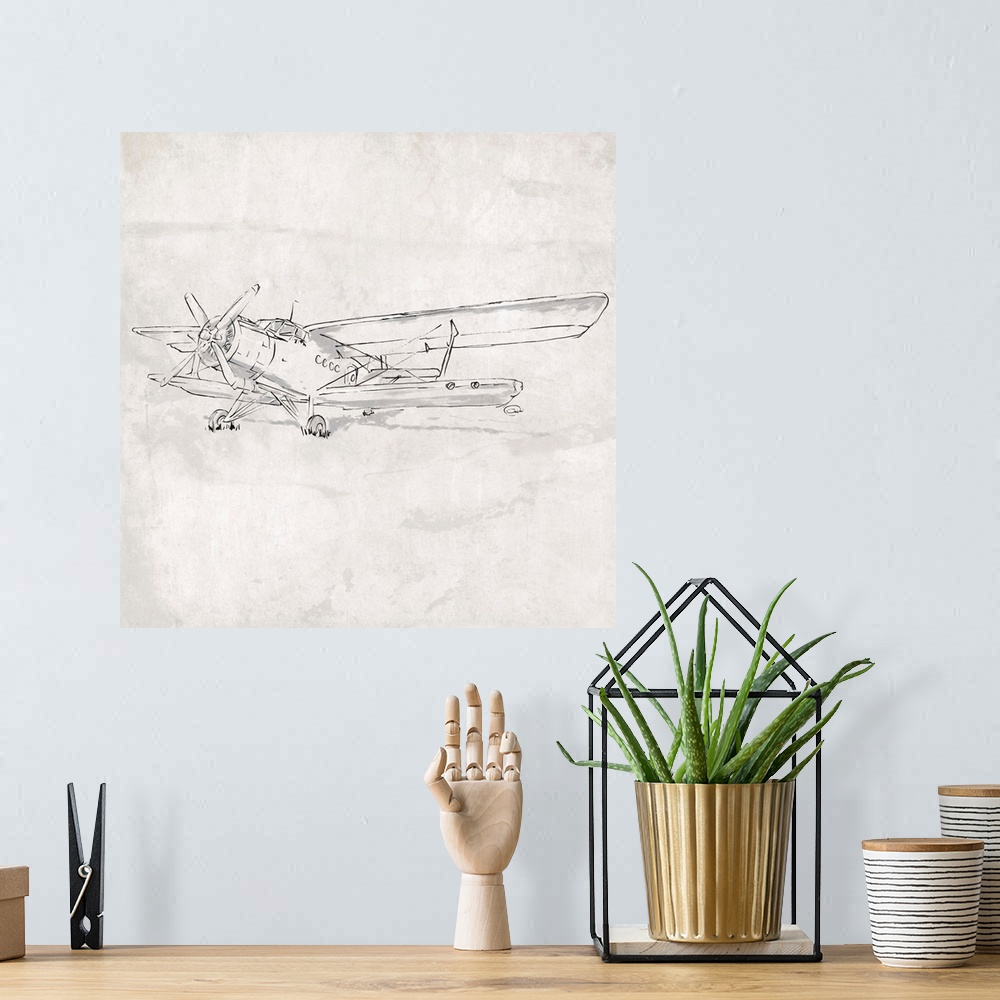 A bohemian room featuring Plane