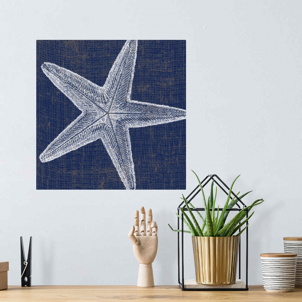A bohemian room featuring Star of the Deep