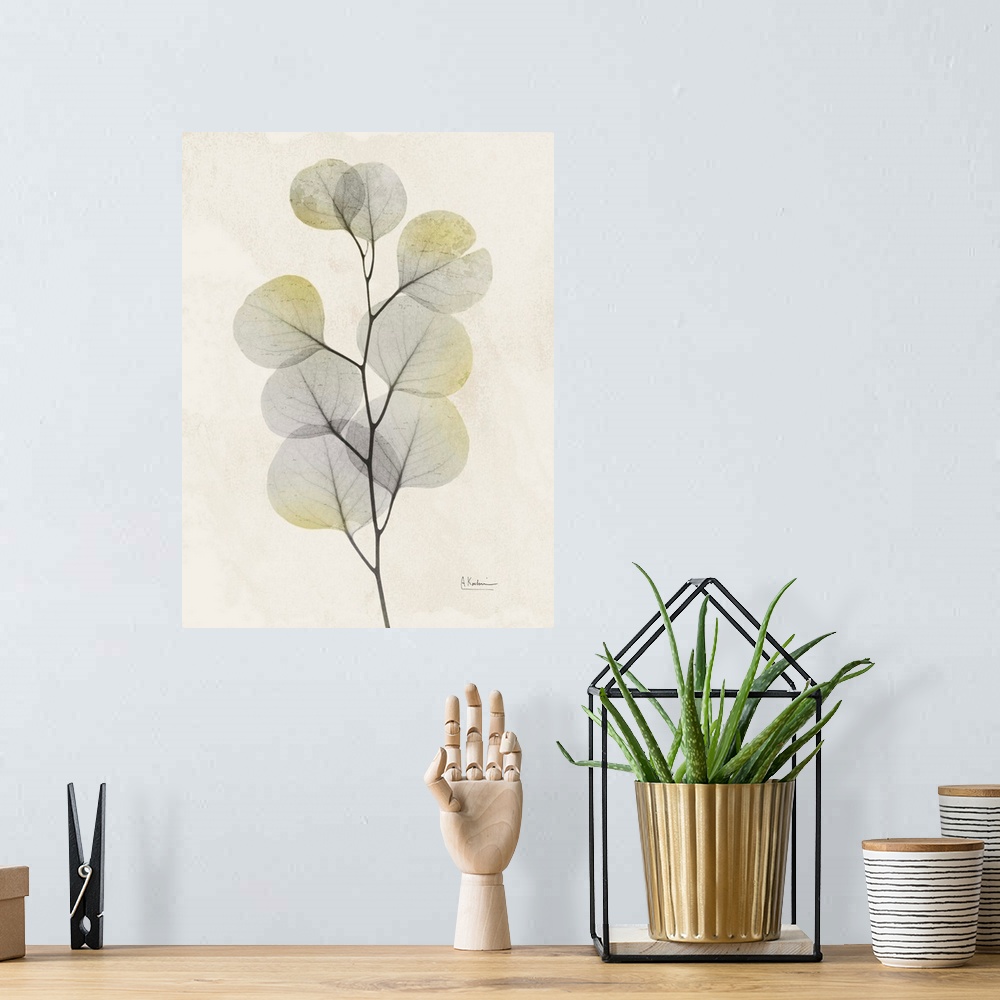 A bohemian room featuring Sunkissed Eucalyptus 4