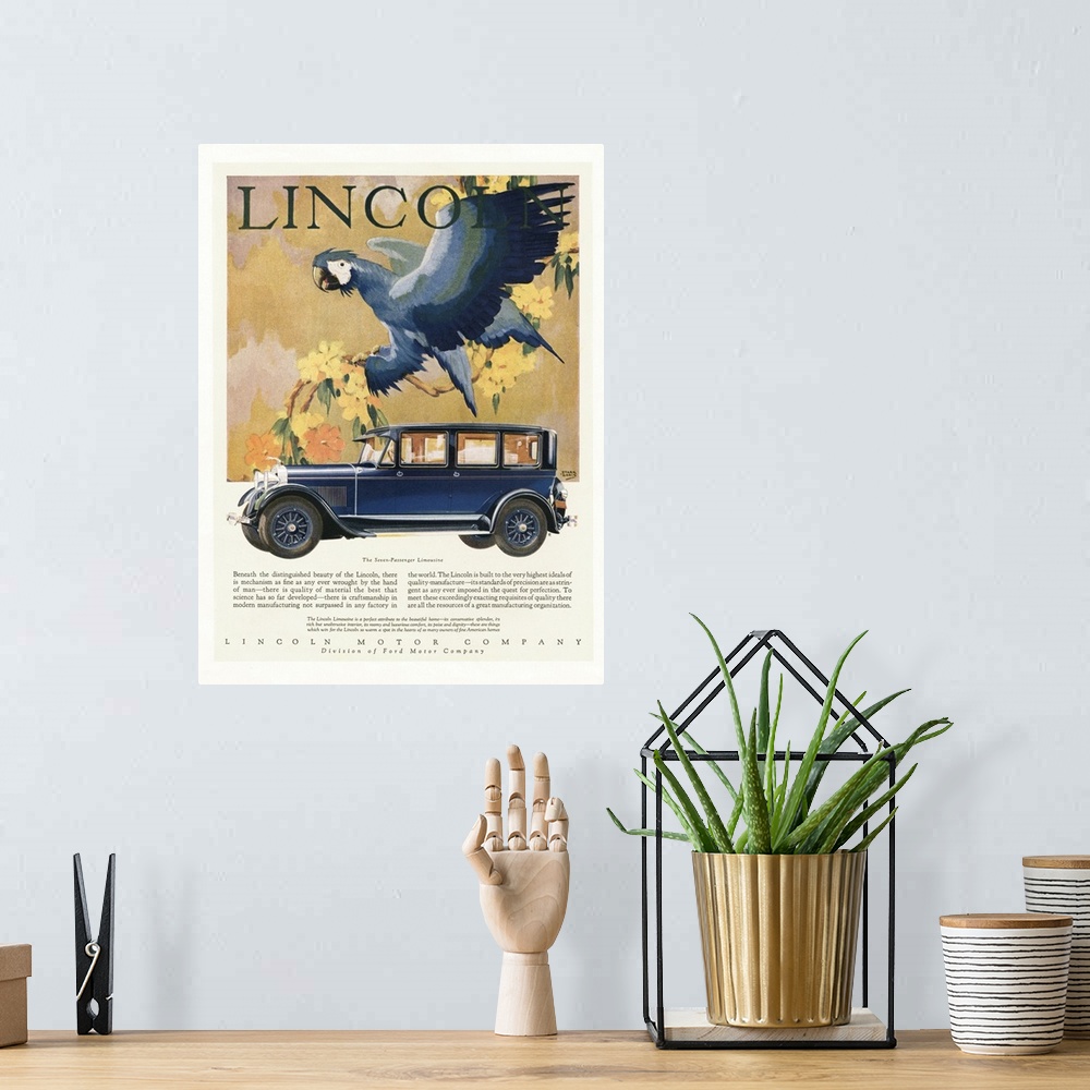 A bohemian room featuring Lincoln.1928.1920s.USA.cc cars parrots birds...