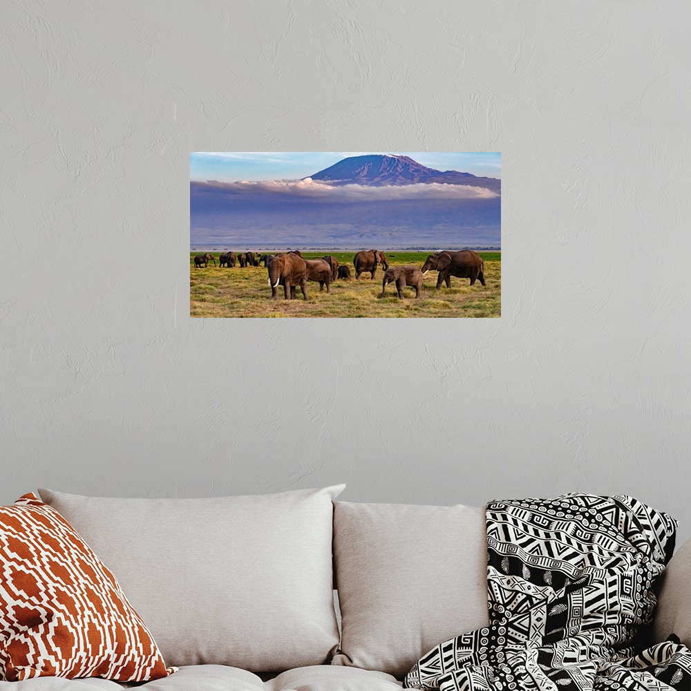 A bohemian room featuring Many elephants grazing in Kenya, Africa, beneath looming Kilamanjaro, which is in Tanzania, Africa.