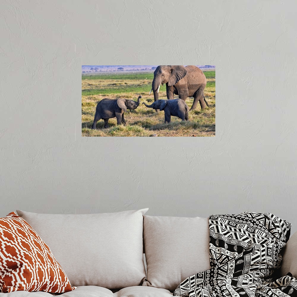 A bohemian room featuring Several elephants in Kenya, Africa