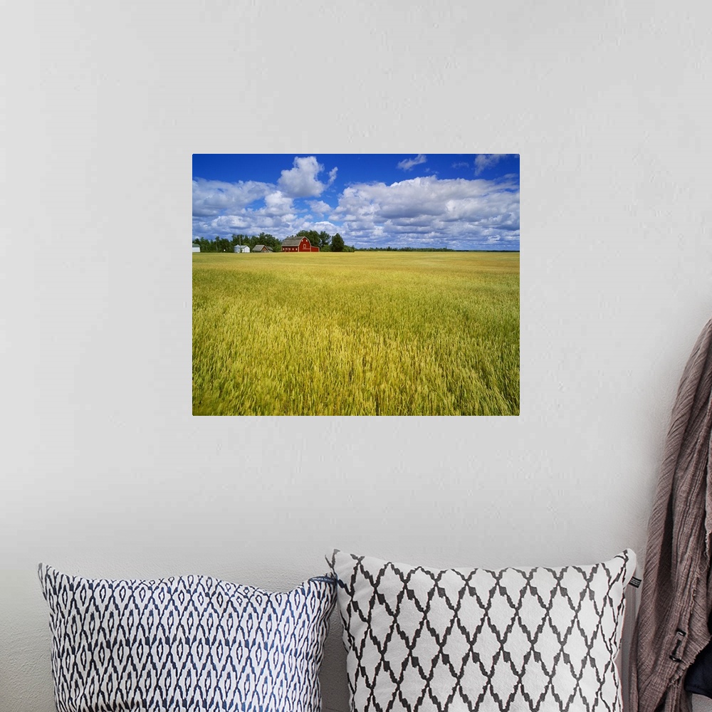 A bohemian room featuring A maturing field of wheat with a red barn and blue sky with white clouds above