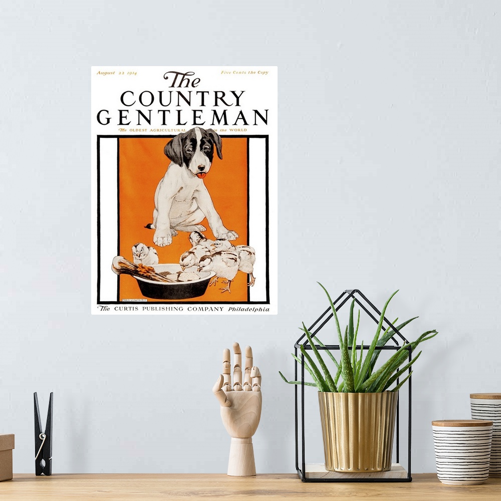 A bohemian room featuring Cover of Country Gentleman agricultural magazine from the early 20th century.