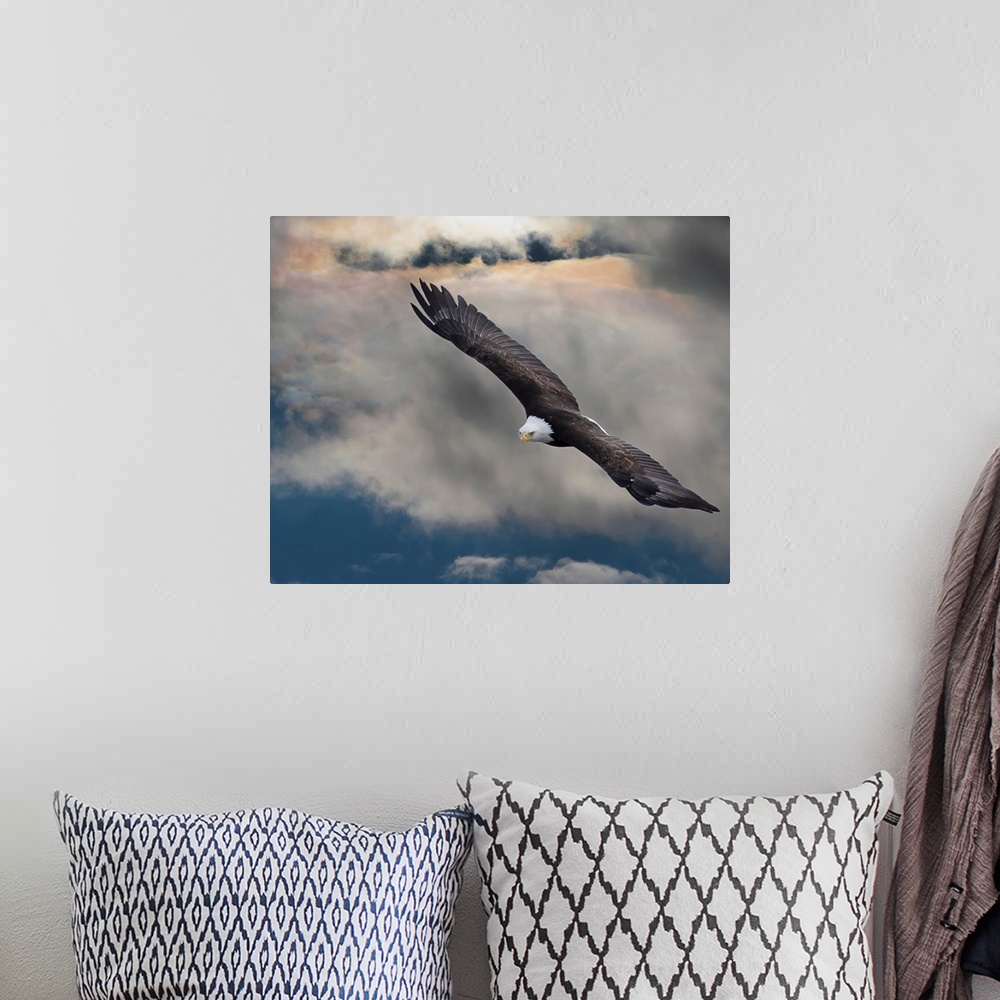 A bohemian room featuring An Eagle In Flight Rising Above The Storm; Pateros, Washington, United States Of America
