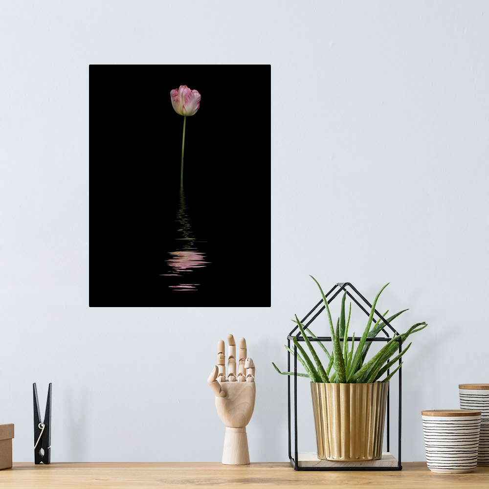A bohemian room featuring Art image of a pink and white tulip reflected in water.