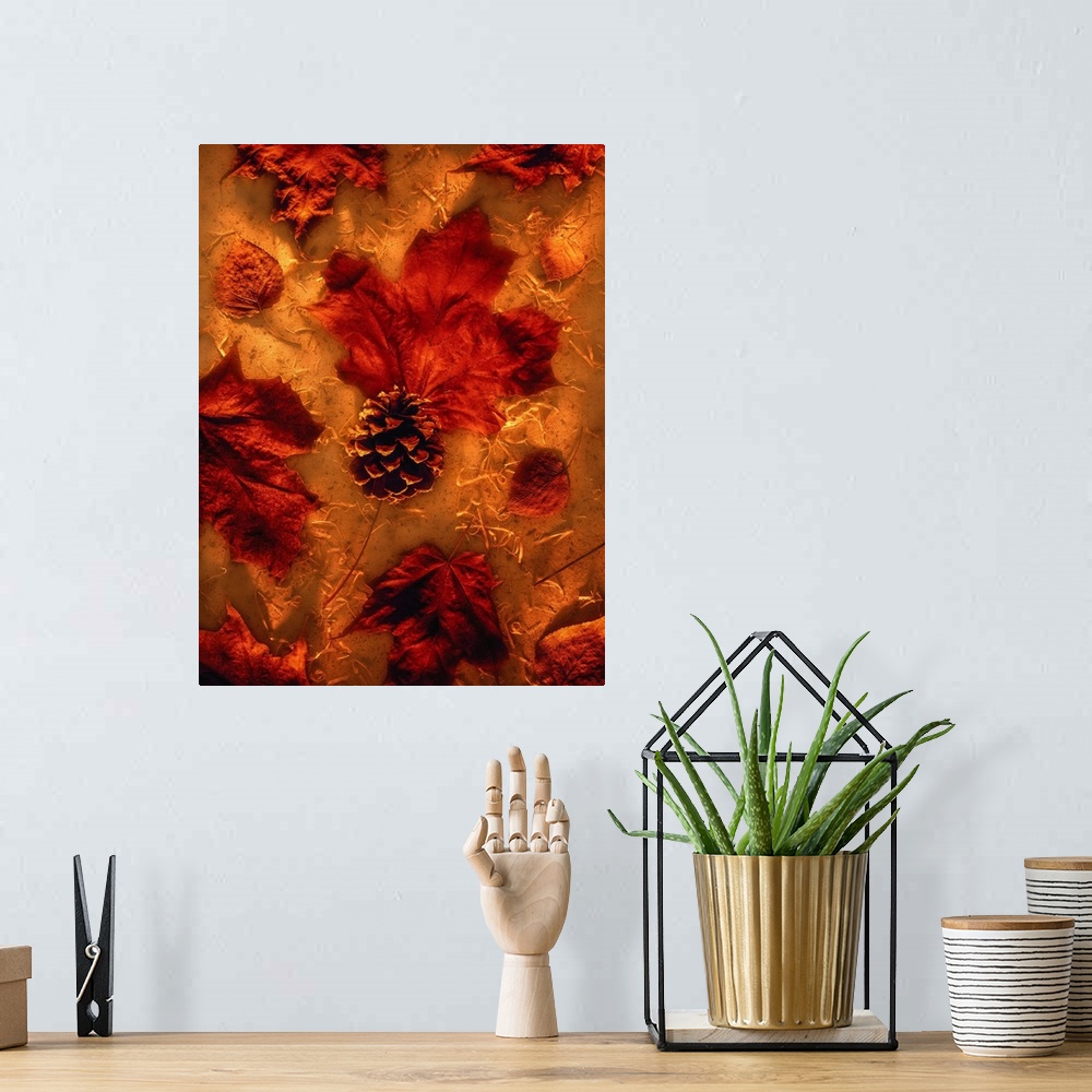 A bohemian room featuring Autumn Maple Leaves and Pine Cone