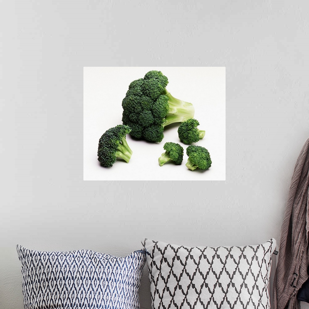 A bohemian room featuring Broccoli crown, and large and small florets