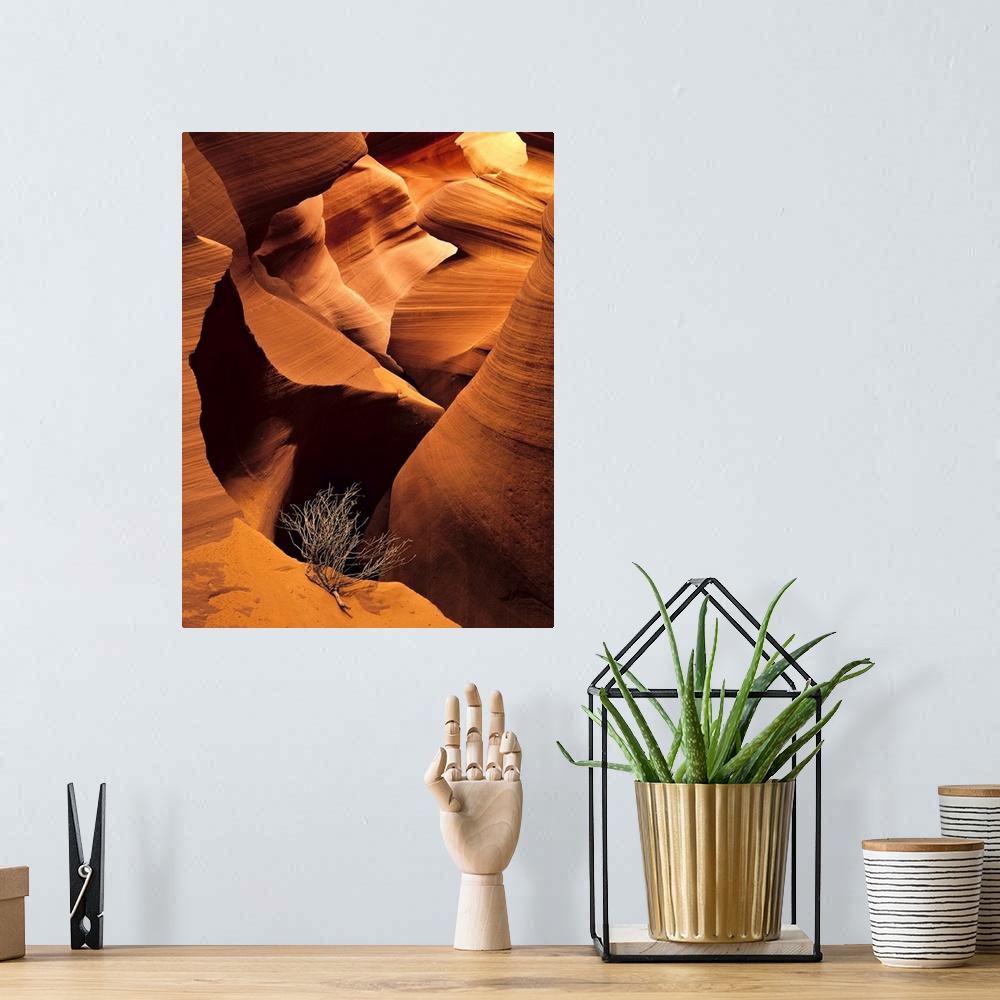 A bohemian room featuring Large vertical photograph of an eroded canyon. Single tumbleweed branch in foreground amplifies v...