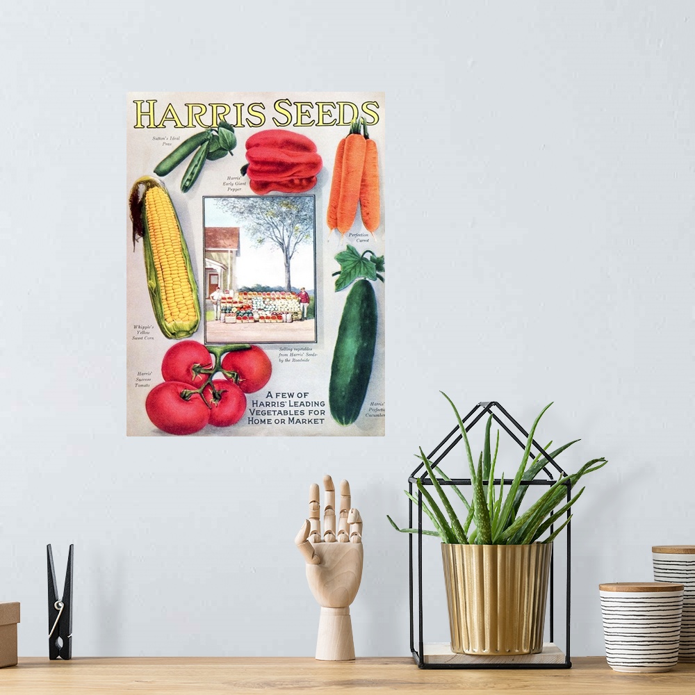 A bohemian room featuring Historic Harris seeds catalog with illustration of vegetables from 20th century