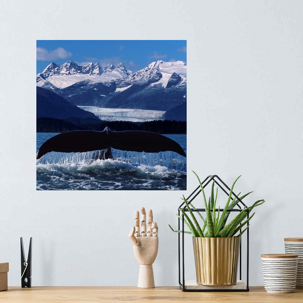 A bohemian room featuring Humpback Whale Tail In Front Of Glacier Composite
