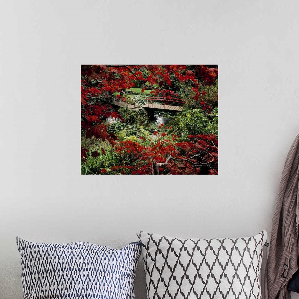 A bohemian room featuring Japanese Garden, Through Acer In Autumn, Powerscourt Gardens, Co Wicklow, Ireland