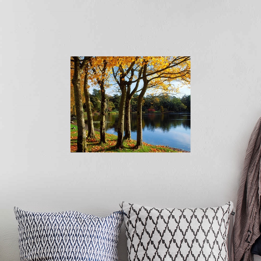 A bohemian room featuring Lake And Trees, Mount Stewart, County Down, Ireland