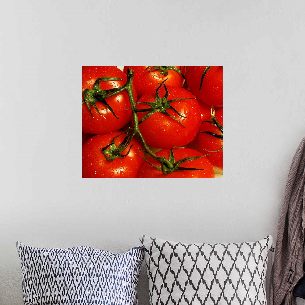 A bohemian room featuring Up close view of a bunch of tomatoes on the vine printed on canvas.