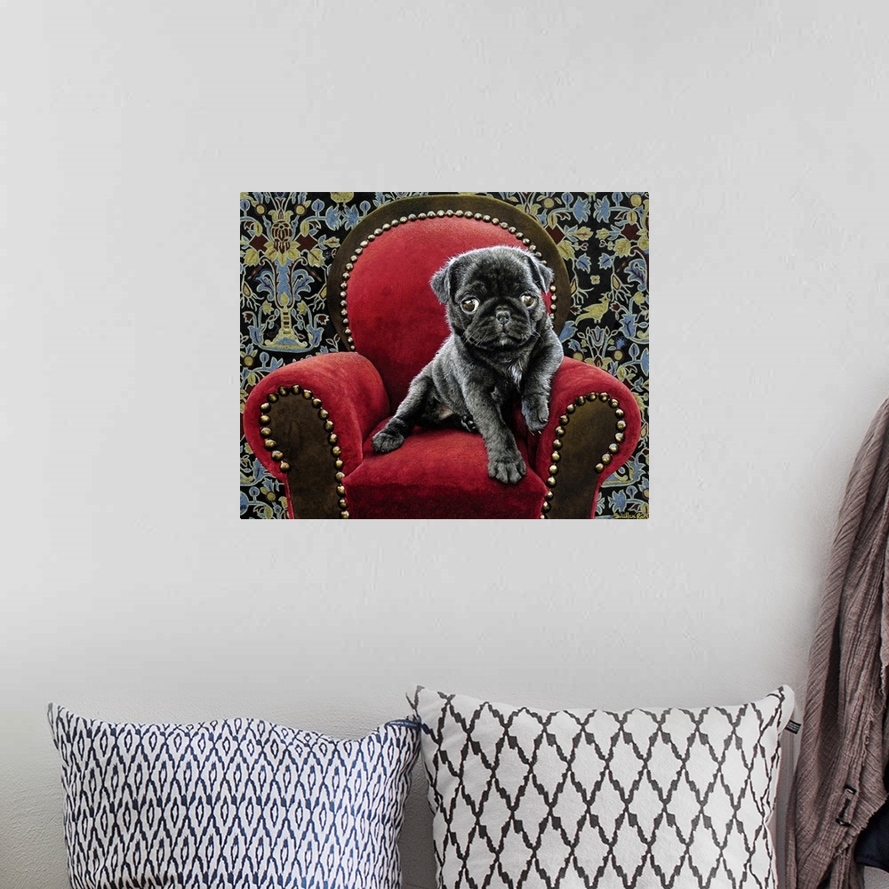 A bohemian room featuring Image of a black pug puppy sitting on a red velvet chair.
