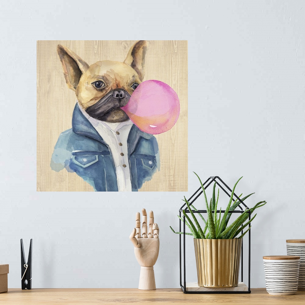 A bohemian room featuring Humorous illustration of a French bulldog in a jean jacket blowing bubblegum.