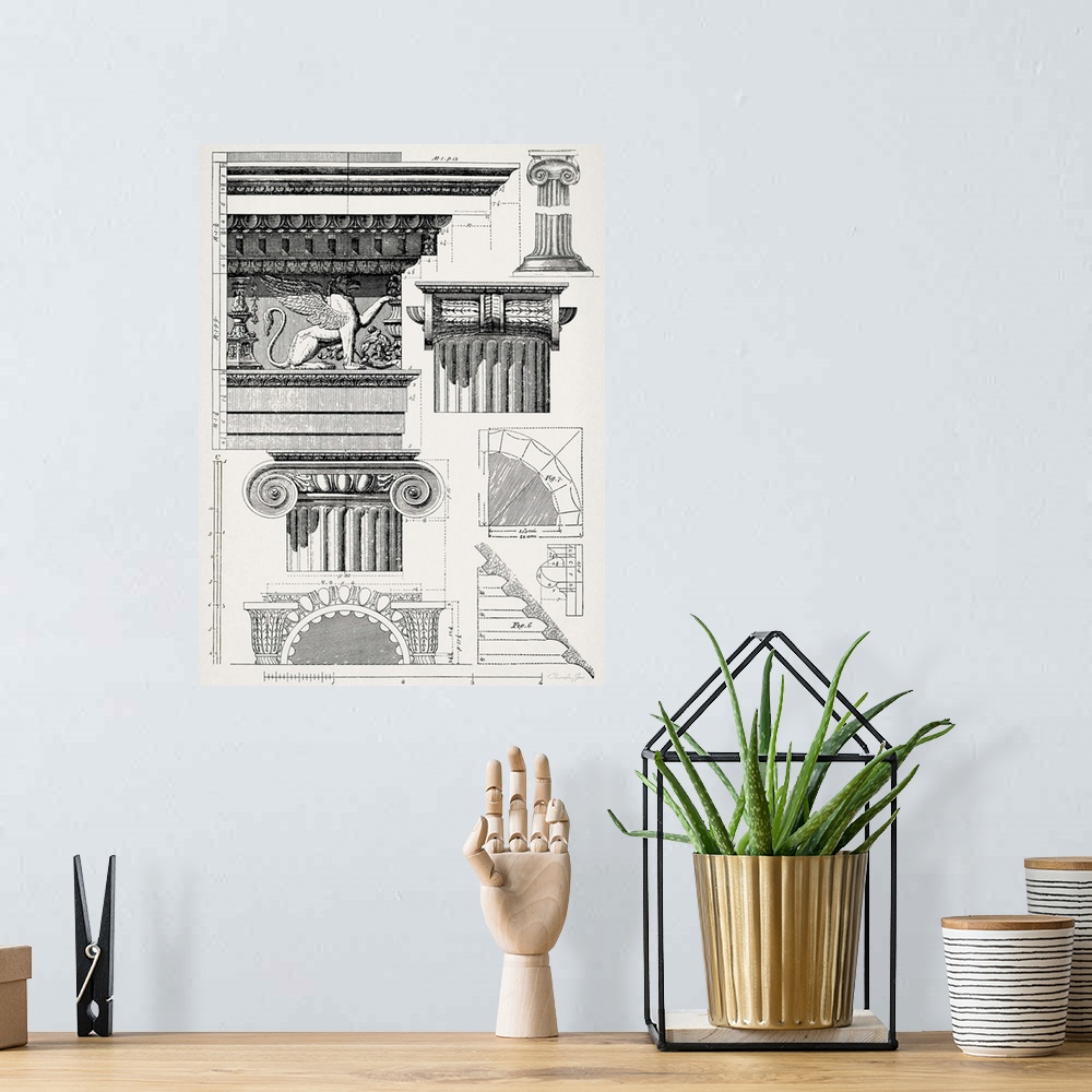 A bohemian room featuring Black and white architectural illustration and blueprint of detailed columns with numbered measur...