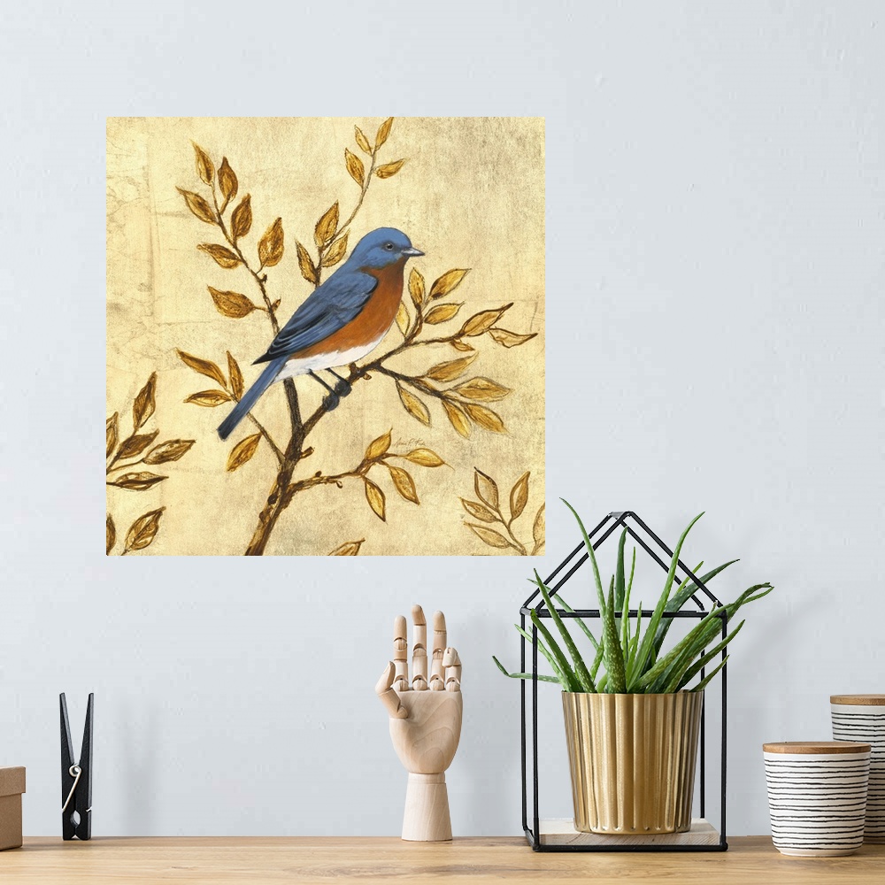 A bohemian room featuring Golden Bluebird