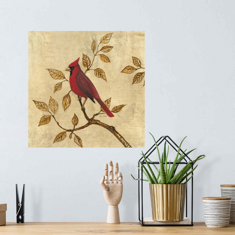 A bohemian room featuring Golden Cardinal