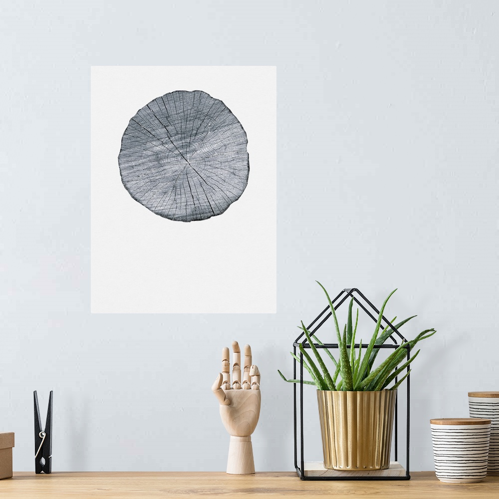 A bohemian room featuring Old Growth Ring Print