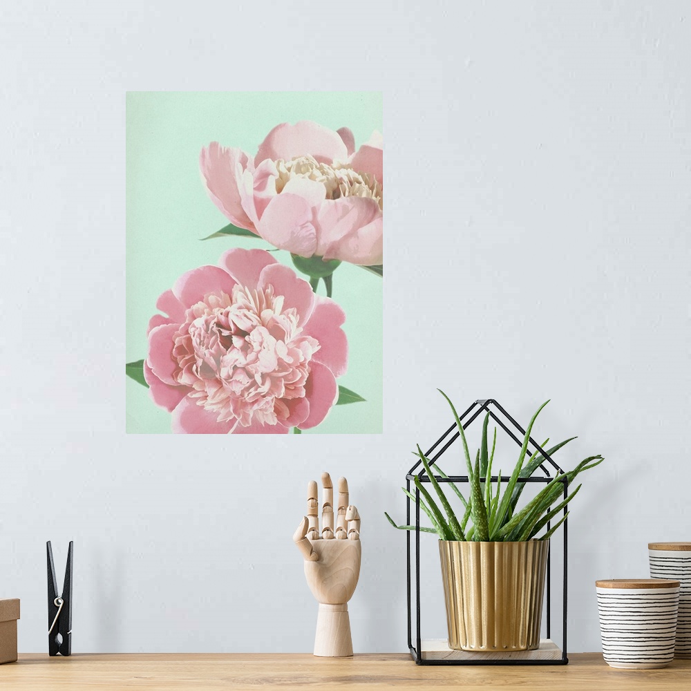 A bohemian room featuring Large illustration of two pink peonies close up on a pale blue background.