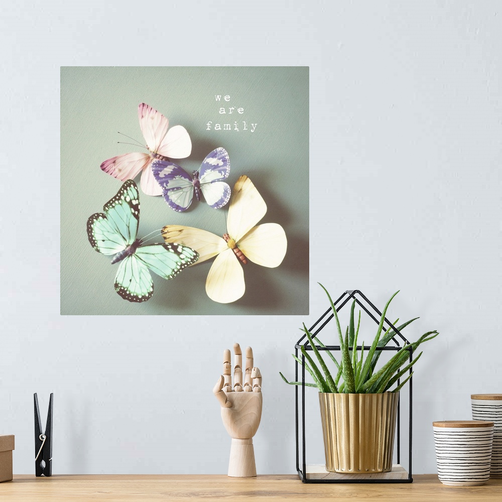 A bohemian room featuring Photograph of colorful butterfly hovering over a pale green surface, with white text.