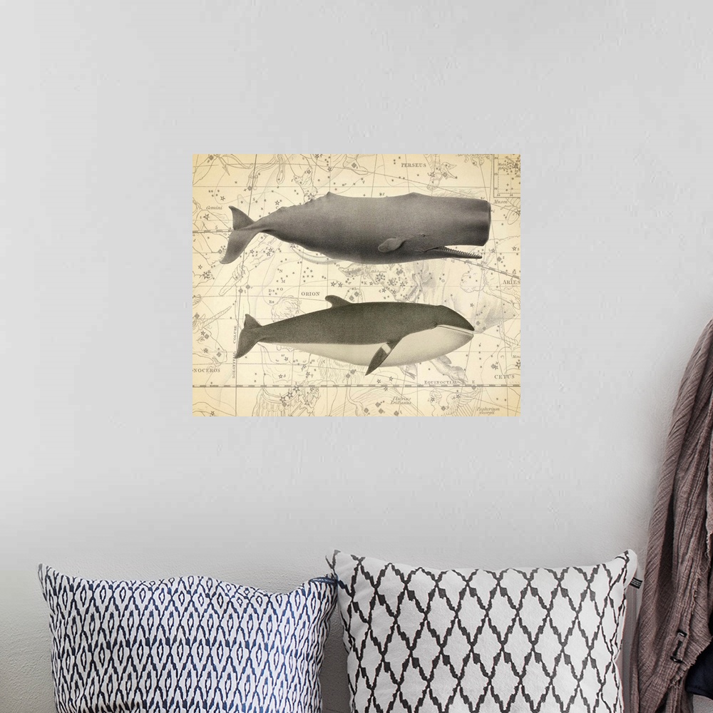 A bohemian room featuring Illustration of two whales over a vintage star map background.