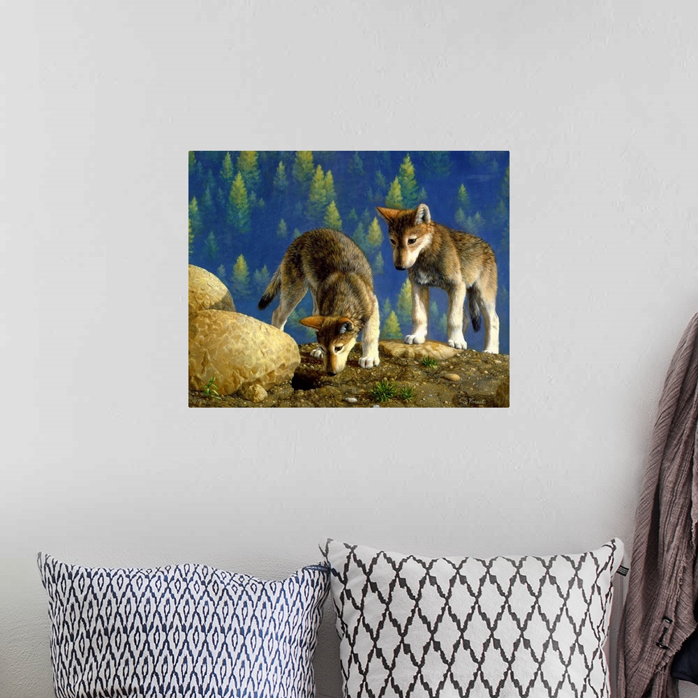 A bohemian room featuring Two young wolves on a hillsidewolf