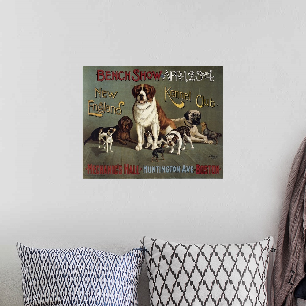 A bohemian room featuring Bench Show. New England Kennel Club