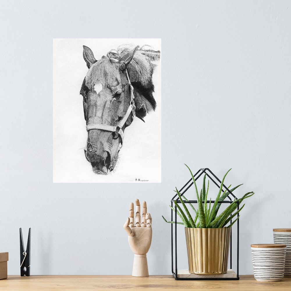 A bohemian room featuring Black and white portrait of a horse with a bridle.