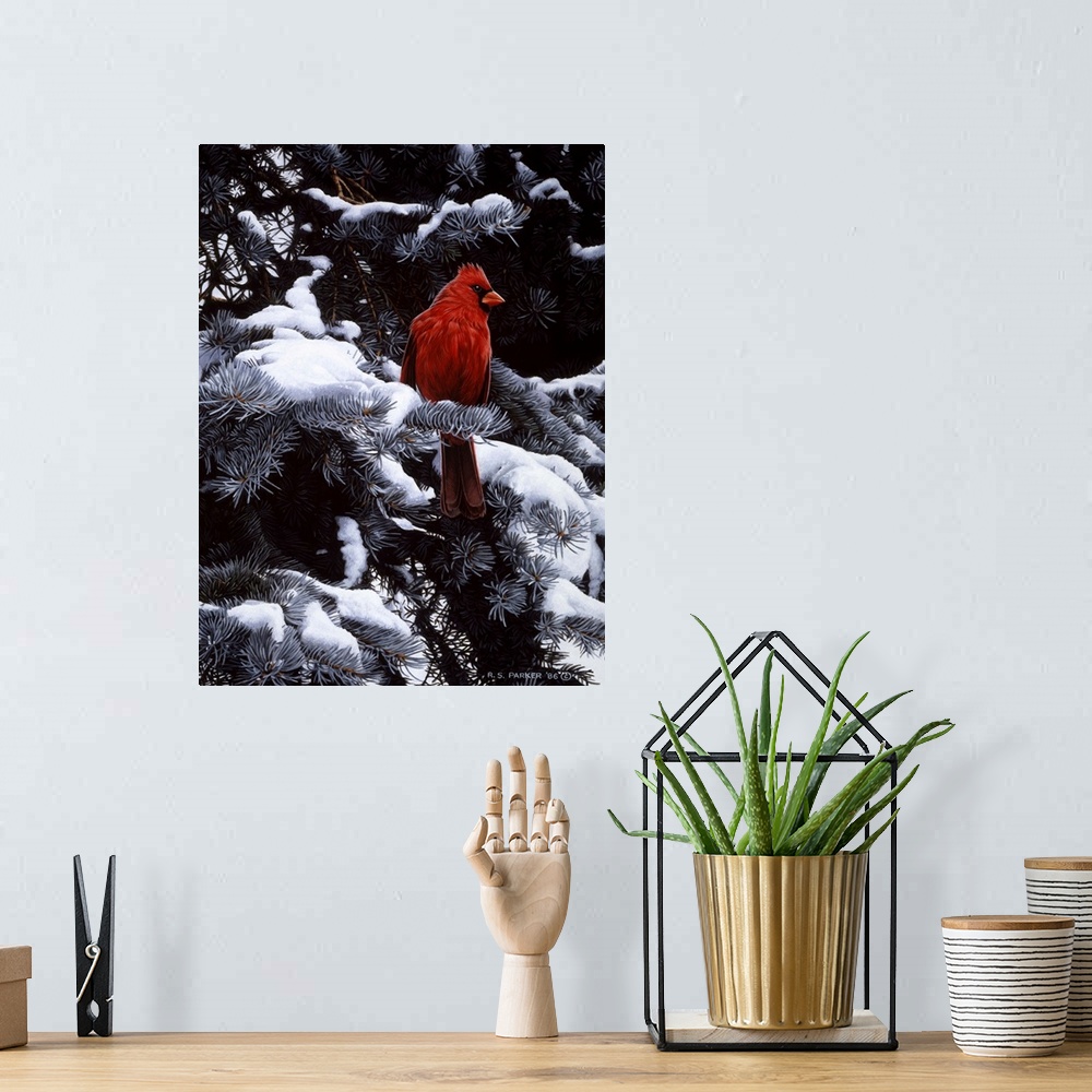 A bohemian room featuring A male cardinal rests on a snow-covered branch.