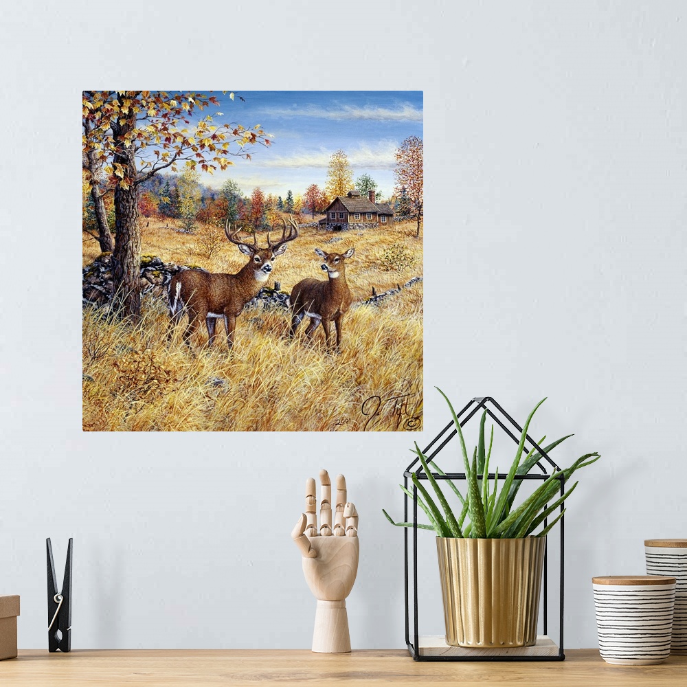 A bohemian room featuring 2 deer in a field near a house in the Fall