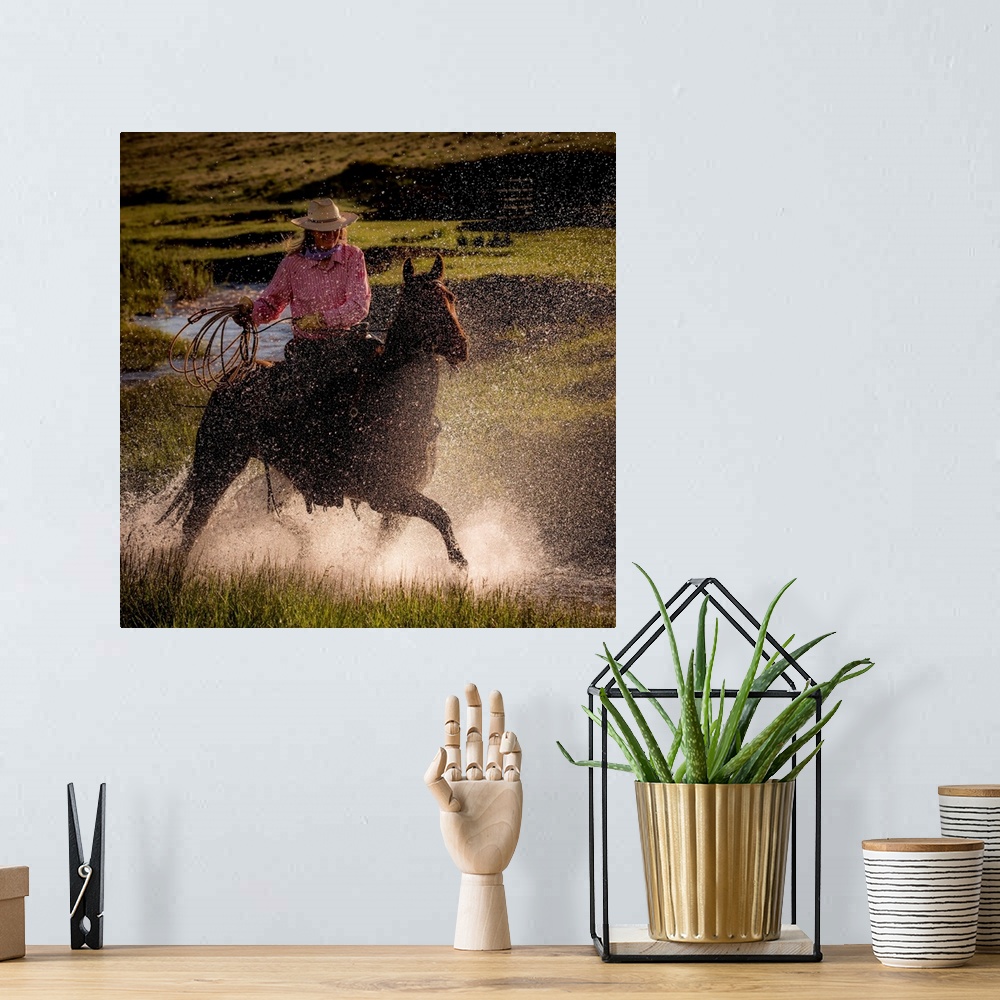 A bohemian room featuring Square photograph of a cowgirl riding her horse through a stream with her lasso out.