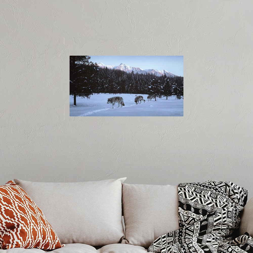 A bohemian room featuring A group of wolves makes their way across the snowy landscape in the evening light.
