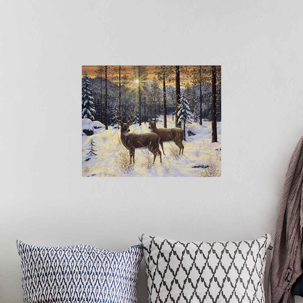 A bohemian room featuring a deer buck and a doe standing in the woods looking back