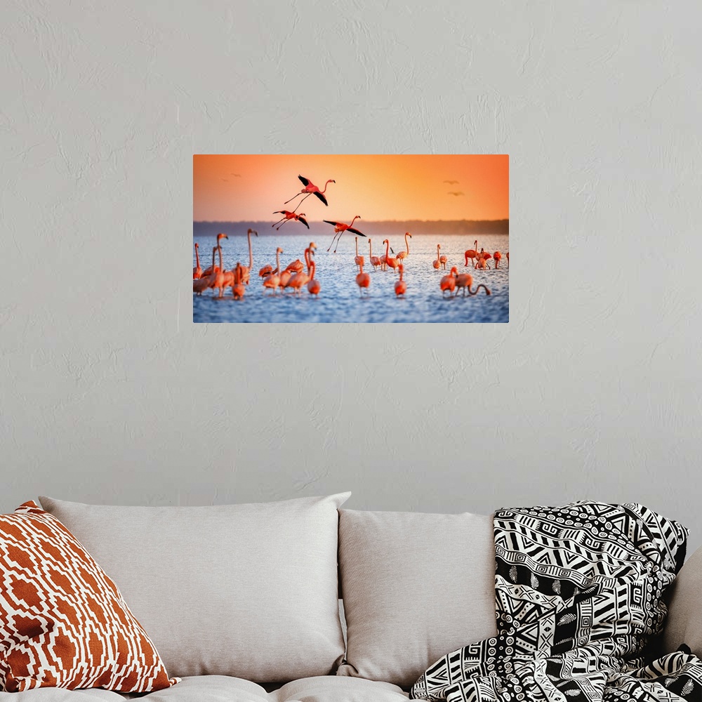 A bohemian room featuring Flamingo Flight
