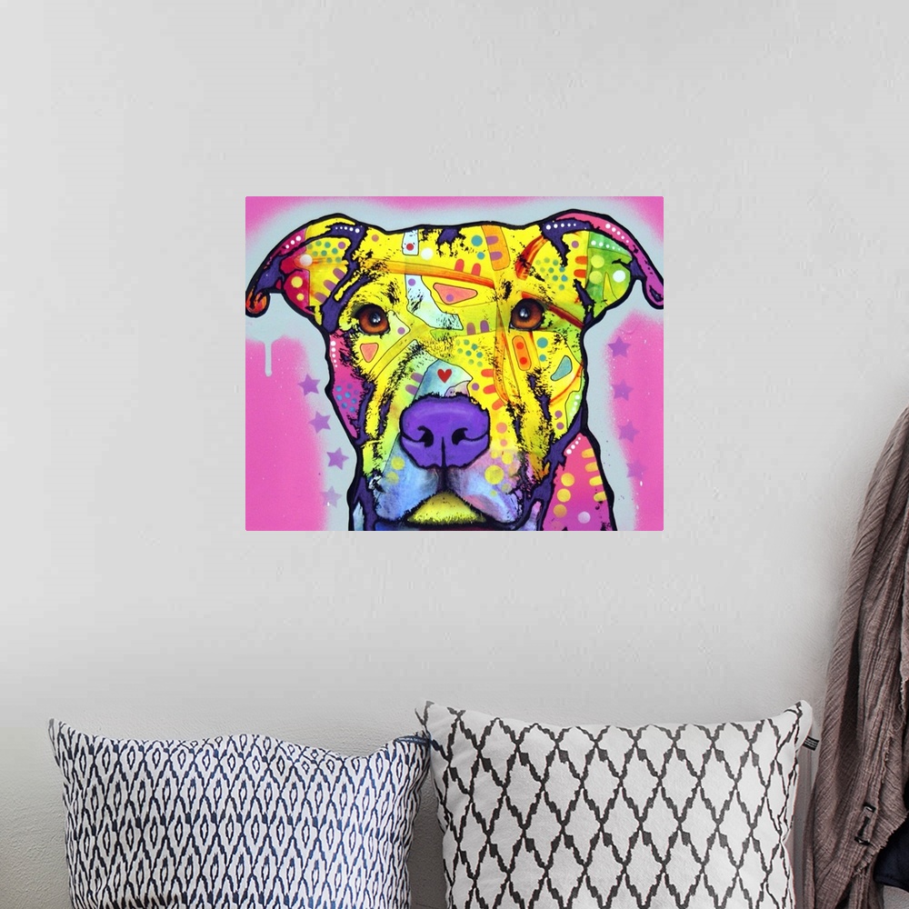 A bohemian room featuring Pit Bull, Dog