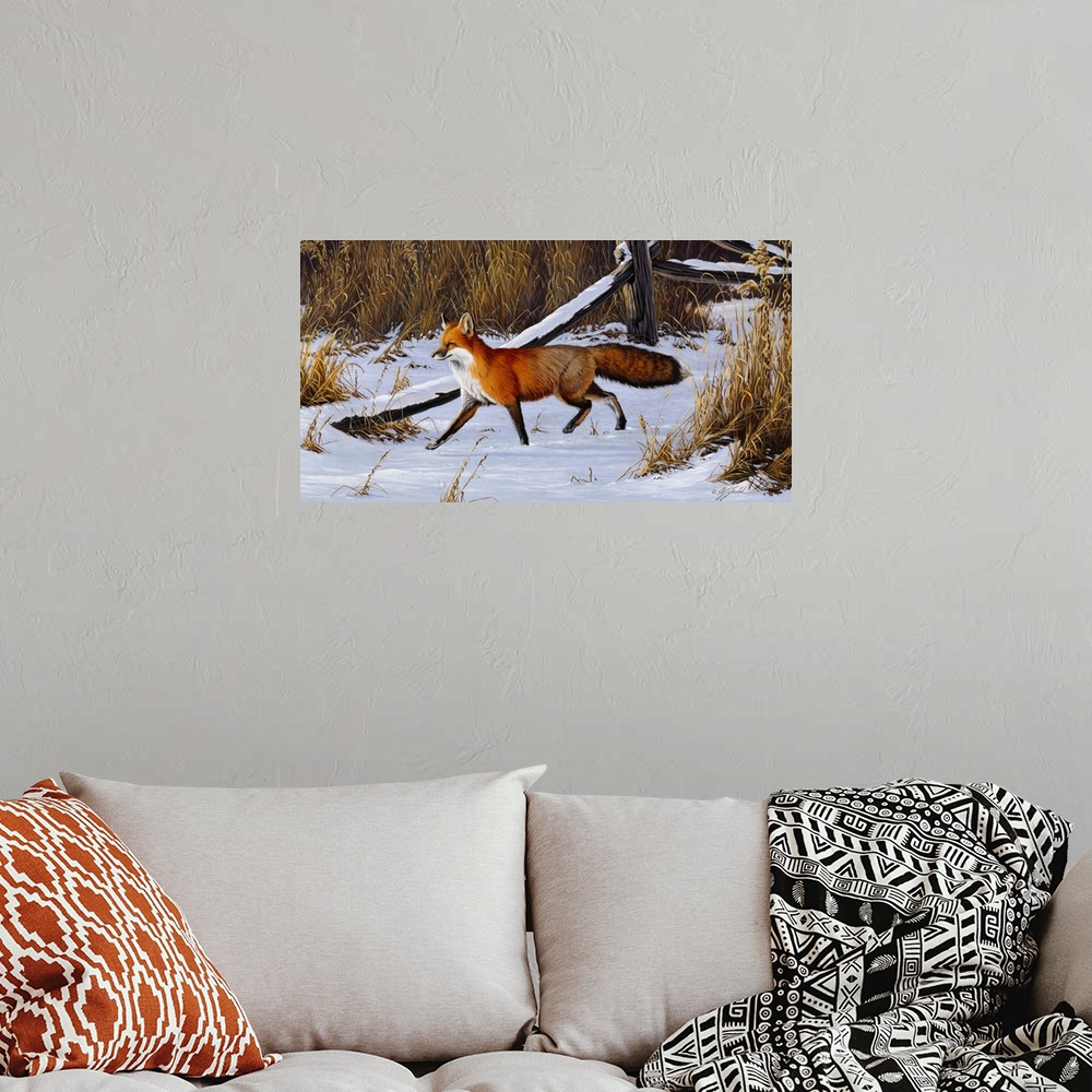 A bohemian room featuring Red fox walking through a snowy field.