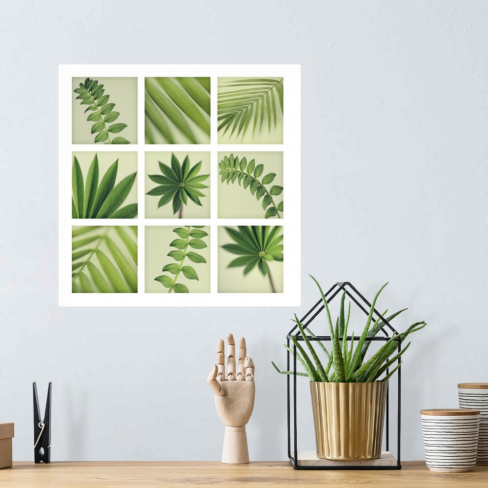 A bohemian room featuring Grid of 9 Leaves