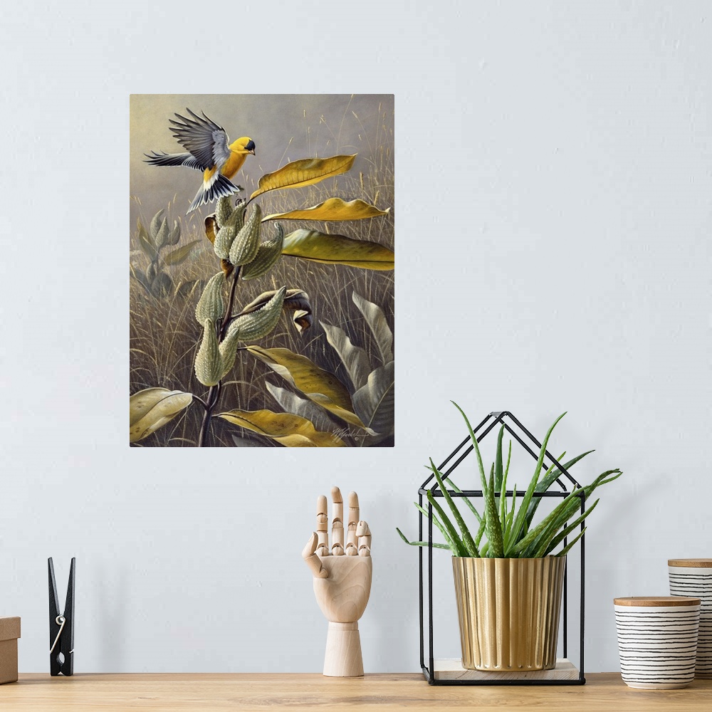 A bohemian room featuring Goldfinch landing on a plant in a field.