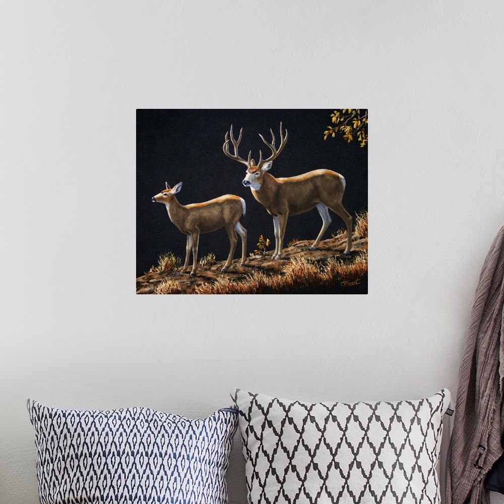A bohemian room featuring Deer in the woods