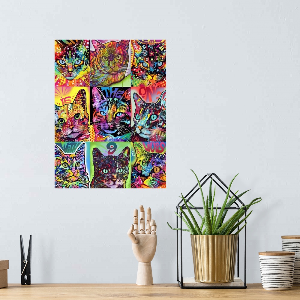 A bohemian room featuring Graffiti style art that has "The Best Cat is The One With 9 Lives" painted in individual boxes wi...